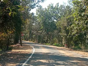 Four Maoists, cop killed in encounter in Chhattisgarhs Bastar Four Maoists, cop killed in encounter in Chhattisgarhs Bastar