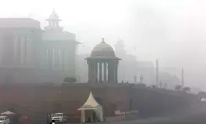 Delhi freezes under severe cold wave; dense fog disrupts flights, train services