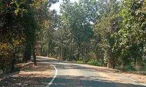 Four Maoists, cop killed in encounter in Chhattisgarhs Bastar