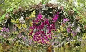 Ethiopia earns over $216 million from horticulture exports