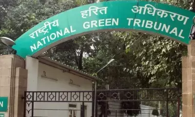 NGT issues notice to Delhi govt on plea alleging land for afforestation under illegal encroachment