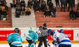 IHL Season 2: Kang Sing, Changtan Shans & Sham Wolves win on day 2