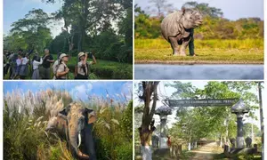 Record tourist footfall in Kaziranga following PM Modis visit: Assam CM