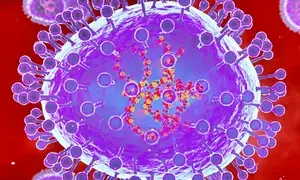 HMPV virus scare: K’taka govt issues advisory, says no need to panic