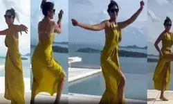 Shriya Sarans 2024 was all about having a good time