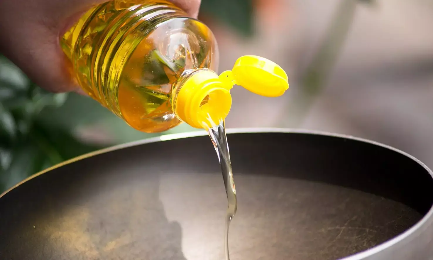 Your cooking oil can cause cancer; Dangers of seeds oil revealed, know the safe alternatives