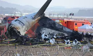 Air crash deaths soar to 334 globally in 2024: German aviation association