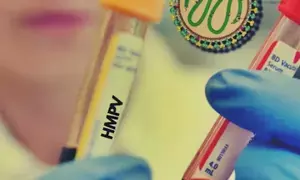 Maha govt sets up Task Force after two HMPV cases in Nagpur