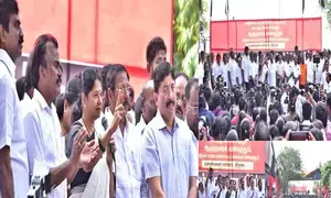 No need for TN Governor to play politics: DMK leader Kanimozhi