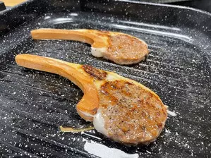 Israeli, Palestinian scientists develop metamaterials for scalable production of meat alternatives Israeli, Palestinian scientists develop metamaterials for scalable production of meat alternatives