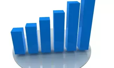 Growth picks up in Q3 FY25, medium-term opportunities for India intact: Report