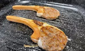 Israeli, Palestinian scientists develop metamaterials for scalable production of meat alternatives