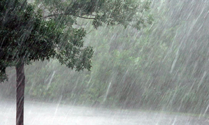 Heavy rains predicted in five TN districts on January 11