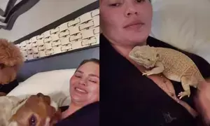 Chrissy Teigen evacuates home amid Los Angeles fires with ‘4 dogs, 4 kids and a bearded dragon’