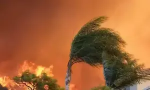 Destructive wildfires devastate Los Angeles, taking huge economic toll