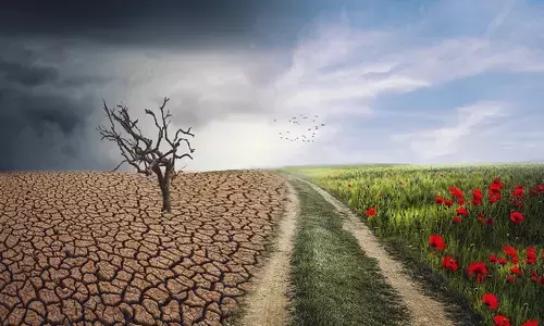 A record-breaking year highlights urgency for global climate action