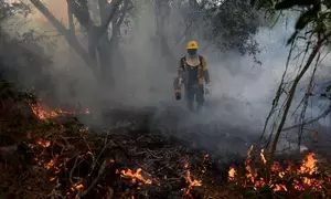 Wildfire devours 3,500 hectares of national park in Argentina