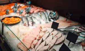 IPO-bound seafood marketplace Captain Fresh posts Rs 229 crore loss in FY24 (Lead)