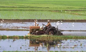 South African commission calls for reduced dependency on agricultural imports