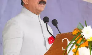 Tenders invited for seven solar power projects of 72 MW: Himachal CM