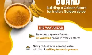 National Turmeric Board to ensure better opportunities for innovation, global promotion: PM Modi