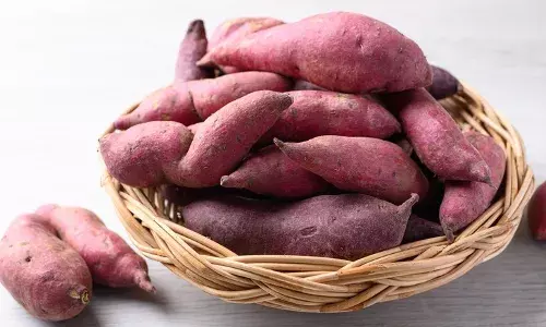 Amazing benefits of consuming sweet potato in winter: Know who should consume it