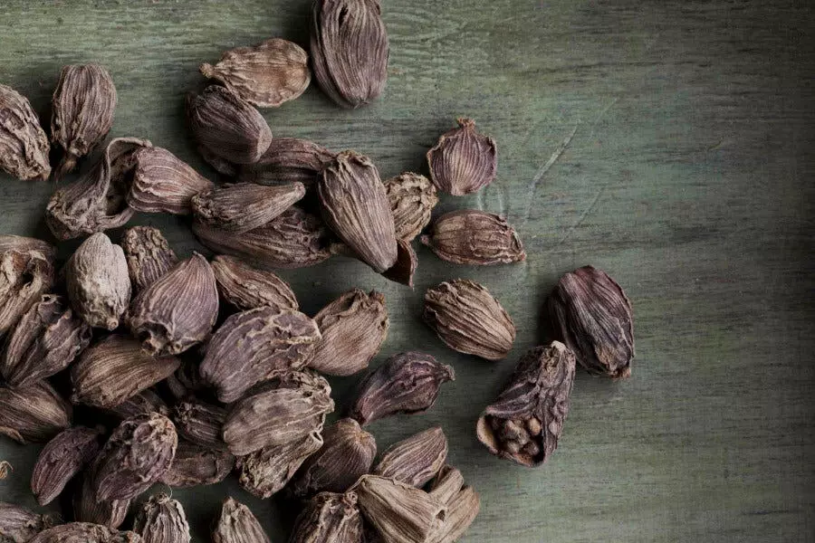 Black cardamom: A priceless treasure of taste and health; Provides relief from cold, cough and digestive problems Black cardamom: A priceless treasure of taste and health; Provides relief from cold, cough and digestive problems