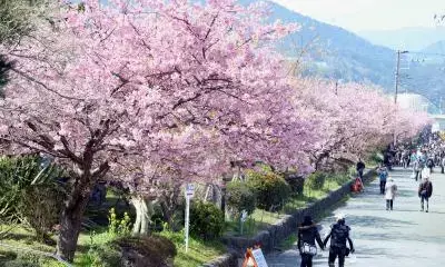 Japan sets new records for inbound visitor number, spending