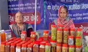 Self-Help Groups empower women in Himachal Pradesh, boosting rural livelihoods