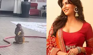 Chitrangda Singh shares a glimpse of new ‘lunch guest on set’ Chitrangda Singh shares a glimpse of new ‘lunch guest on set’