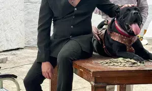 Here’s why Bobby Deol chose ‘Daaku Maharaaj’