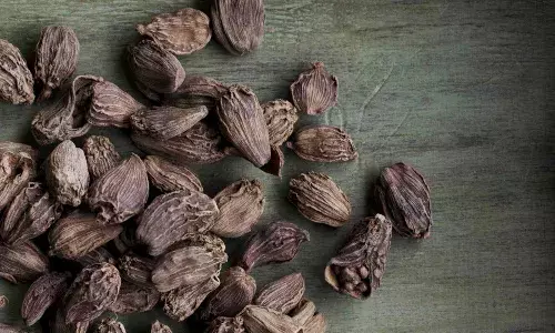 Black cardamom: A priceless treasure of taste and health; Provides relief from cold, cough and digestive problems