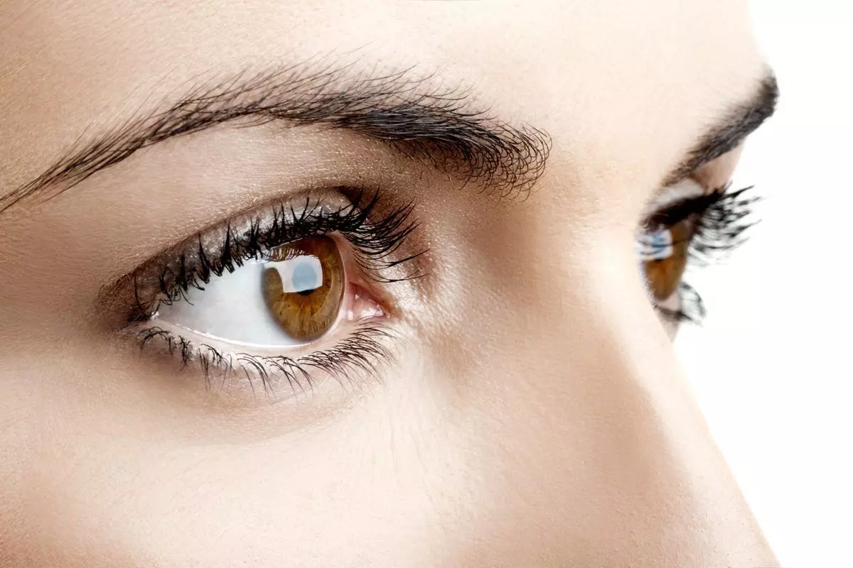 Eye care in winter: Eat these things in winter, keep your eyes healthy and sharp Eye care in winter: Eat these things in winter, keep your eyes healthy and sharp