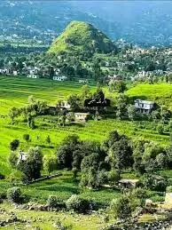 Toxins behind deaths in J&K’s Rajouri, police form SIT to probe Toxins behind deaths in J&K’s Rajouri, police form SIT to probe