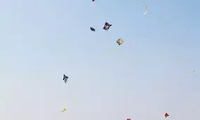 Kite-flying claims four lives in Telangana