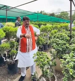 All saplings planted under Ek Ped Maa Ke Naam in Indore alive: Kailash Vijayvargiya