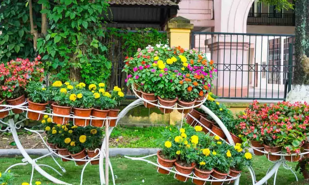 Gardening Tips: 5 beautiful flowers to plant in your garden: Home will be full of fragrance and freshness