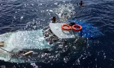 Three migrants die on Aegean Sea in Turkey