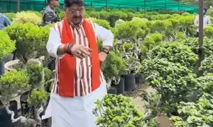 All saplings planted under Ek Ped Maa Ke Naam in Indore alive: Kailash Vijayvargiya