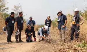 Cambodia extends mine-free goal to 2030
