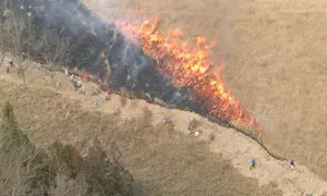 Japan: Wildfire in Yamanashi continues to burn