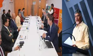 Chandrababu Naidu invites Swiss companies to invest in Andhra Pradesh