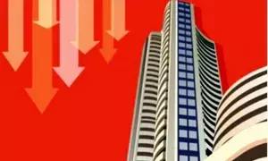 Trump 2.0 jitters: Sensex tanks over 1,200 points, Nifty ends at 23,024