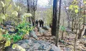 Two Maoists including a woman killed in encounter in Jharkhand’s Bokaro