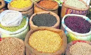 Centre to step up procurement of pulses from farmers in Rabi marketing season