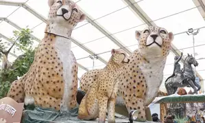 MP: Tableau for Republic Day to showcase success of Cheetah project