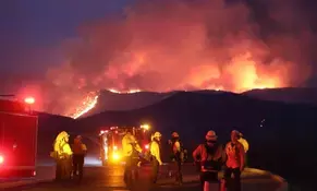 New wildfire in Los Angeles scorches over 8,000 acres