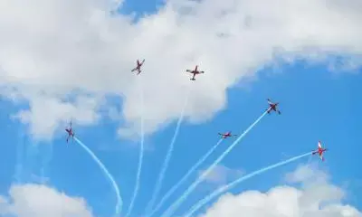 Canberras Australia Day drone shows delayed due to risk to threatened bats