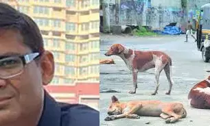 Punjab Child Rights Commission Orders Sterilization of Stray Dogs Amid Rising Attacks on Children