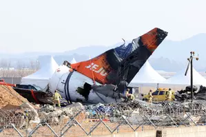 Jeju Air plane received bird activity warning one minute before black box stopped (Ld) Jeju Air plane received bird activity warning one minute before black box stopped (Ld)